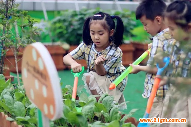 河南洛陽正大國際香港偉才幼兒園上演了一場萌版奧運會