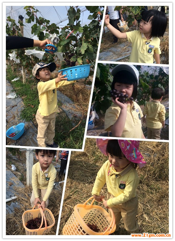 揭陽一品偉才幼兒園親子秋游活動