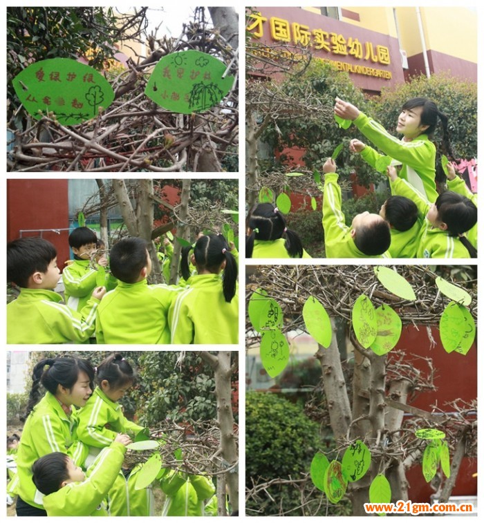 添一點(diǎn)新綠,溫馨又美好——湖北仙桃和合偉才幼兒園植樹(shù)節(jié)活動(dòng)