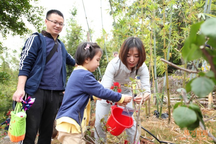 廣西南寧美泉偉才幼兒園開展植樹節公益活動