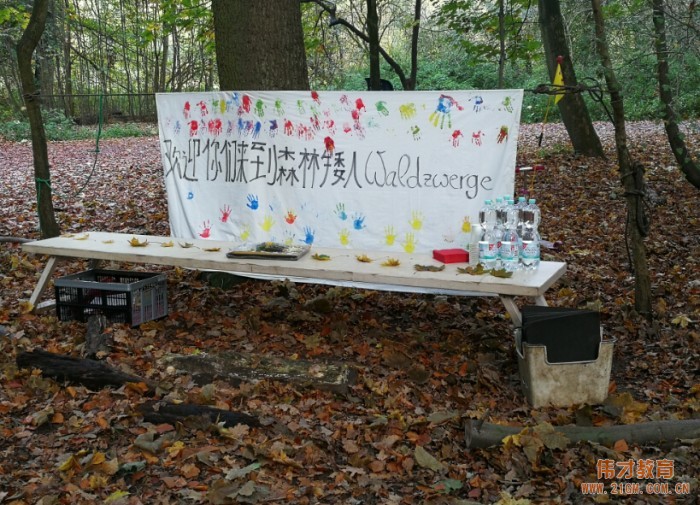 偉才教育2017年幼教交流團德國站(二):帶你走進顛覆認知的幼兒園