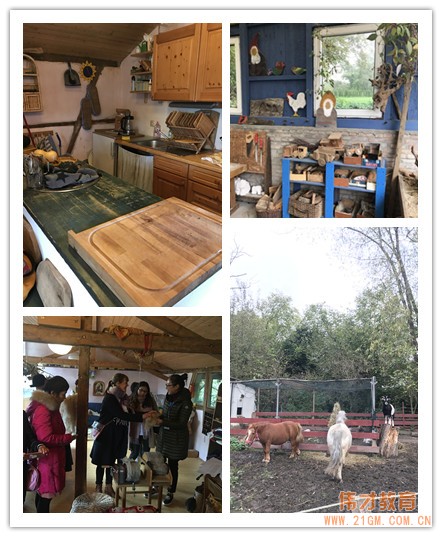 偉才教育2017年幼教交流團德國站(二):帶你走進顛覆認知的幼兒園