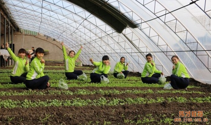 營口幼兒園加盟有什么好處？