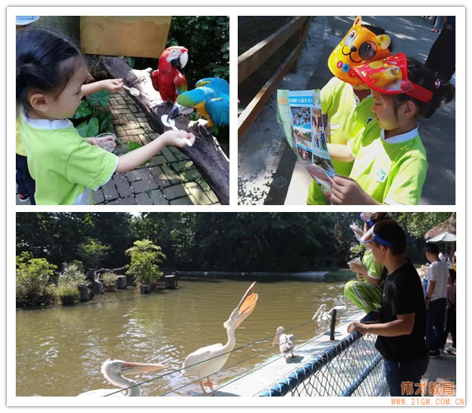 小鳥,你好! 廣東中山東升偉才幼兒園親子研學(xué)之旅