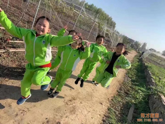 平頂山藍灣翠園偉才幼兒園生態大課堂:耕道田園,探索秋天的奧秘