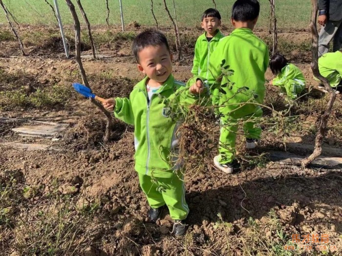 平頂山藍灣翠園偉才幼兒園生態大課堂:耕道田園,探索秋天的奧秘