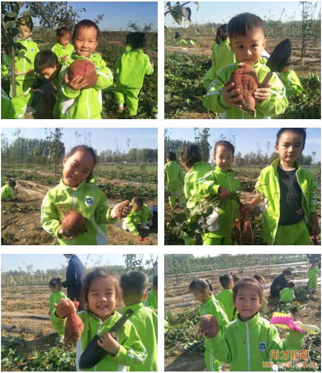平頂山藍灣翠園偉才幼兒園生態大課堂:耕道田園,探索秋天的奧秘