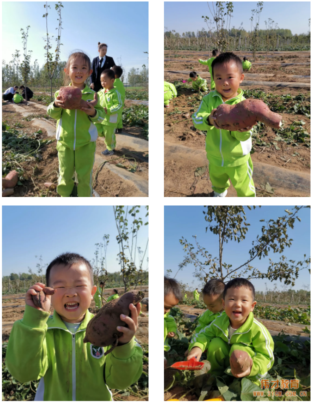 平頂山藍灣翠園偉才幼兒園生態大課堂:耕道田園,探索秋天的奧秘