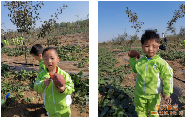 平頂山藍灣翠園偉才幼兒園生態大課堂:耕道田園,探索秋天的奧秘