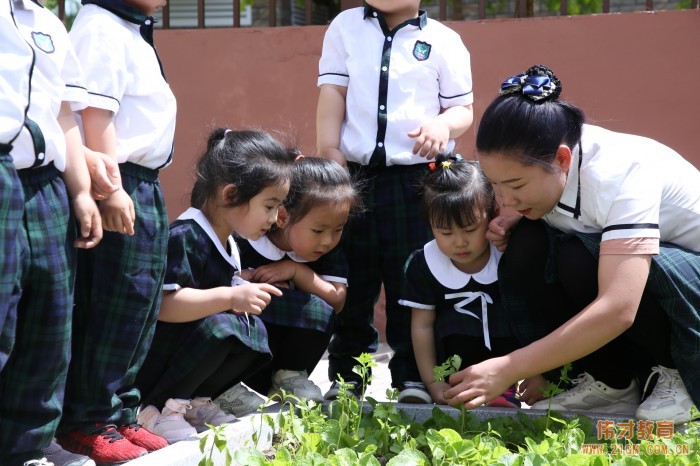 托兒所、幼兒園建筑設(shè)計規(guī)范重要條文解讀