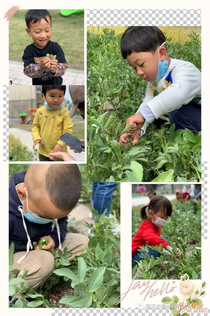 開園僅一年,江蘇省宿遷市翰林閣偉才幼兒園實現滿園!