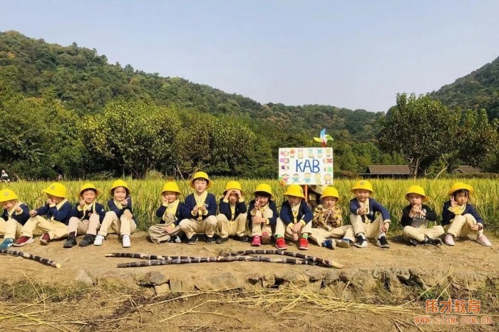 浙江杭州西溪偉才幼兒園:再見,森林小時光