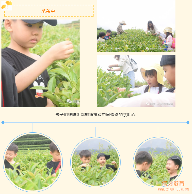 “玩”轉(zhuǎn)盛夏,“暑”你精彩——廣東揭陽偉才幼兒園游學(xué)記
