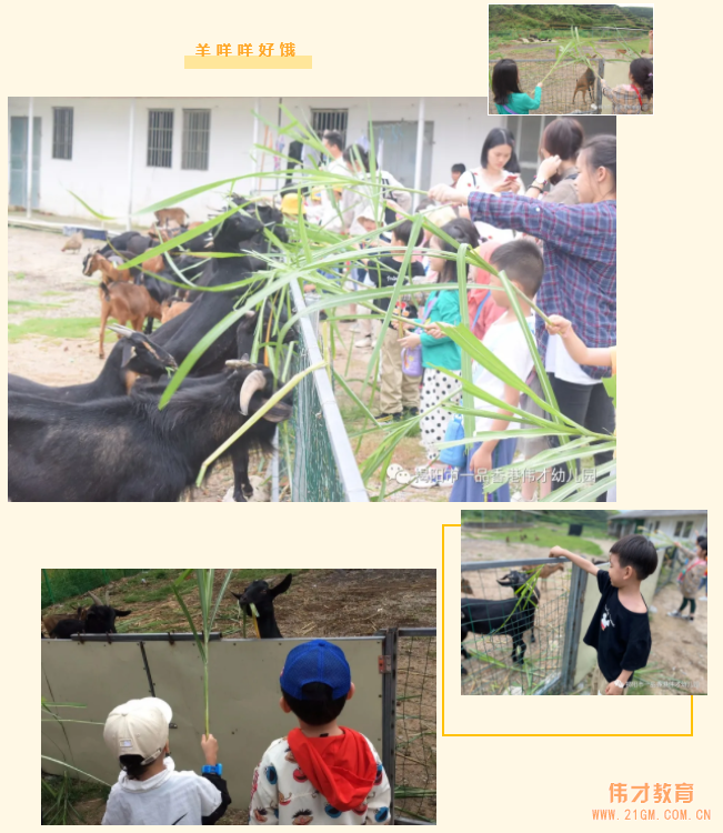 “玩”轉(zhuǎn)盛夏,“暑”你精彩——廣東揭陽偉才幼兒園游學(xué)記