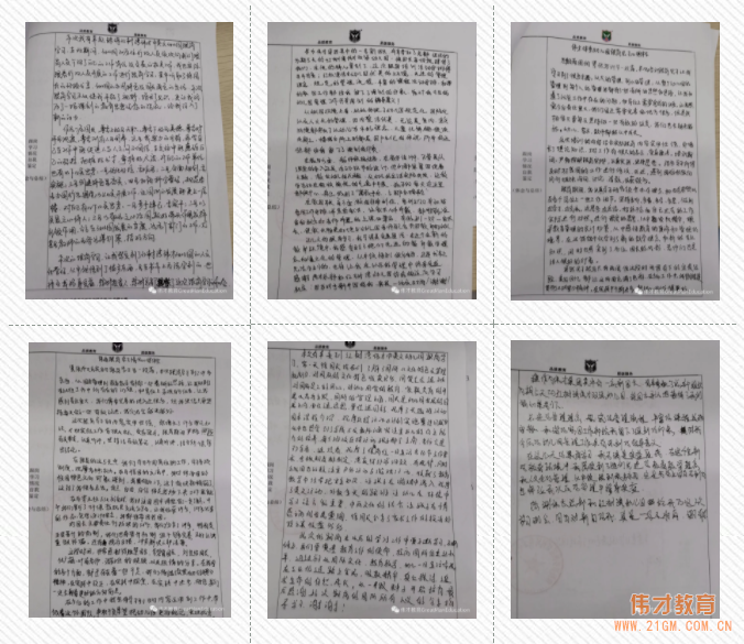 乘風飛翔,閃耀發光——記2020年12月“代培計劃”偉才園長訓練營