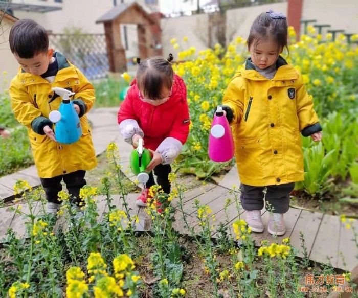 春風十里,正“植”有你——江蘇蘇州雀梅偉才幼兒園植樹節(jié)活動