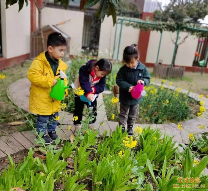 春風十里,正“植”有你——江蘇蘇州雀梅偉才幼兒園植樹節(jié)活動