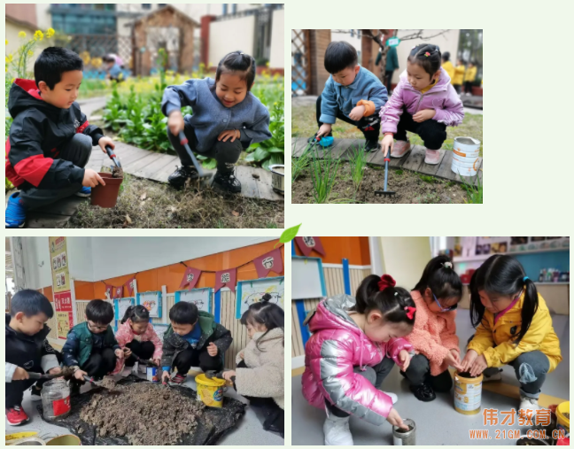 春風十里,正“植”有你——江蘇蘇州雀梅偉才幼兒園植樹節(jié)活動
