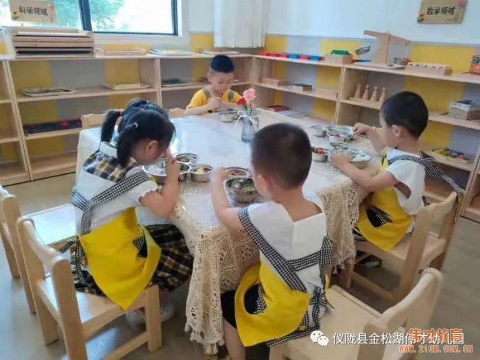 偉才園所丨“暑”你精彩,四川儀隴金松湖偉才幼兒園快樂暑假班