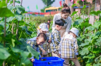 2022年，民辦園抬頭看天